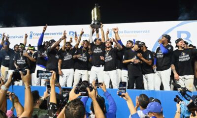 Mel Rojas Jr. decide, los Tigres del Licey se coronan campeones en 10 entradas